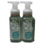 Bath and Body Works Gentle Foaming Hand Soap 8.75 Ounce 2-Pack