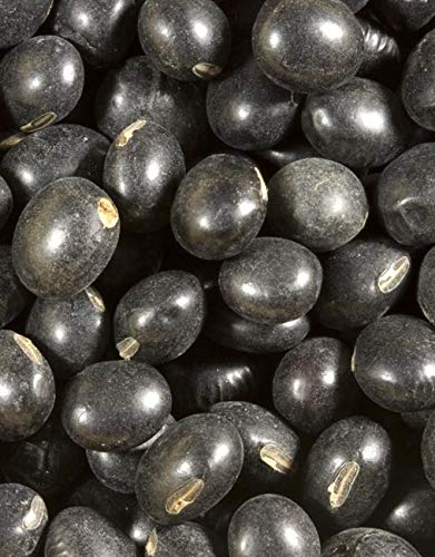 Shiloh Farms Organic Black Soybeans - 15 oz