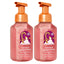 BBW-FHW-TWSTPEPMINT-2PACK