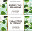Bath and Body Works Bar Soap 2 pack (Eucalyptus Spearmint)