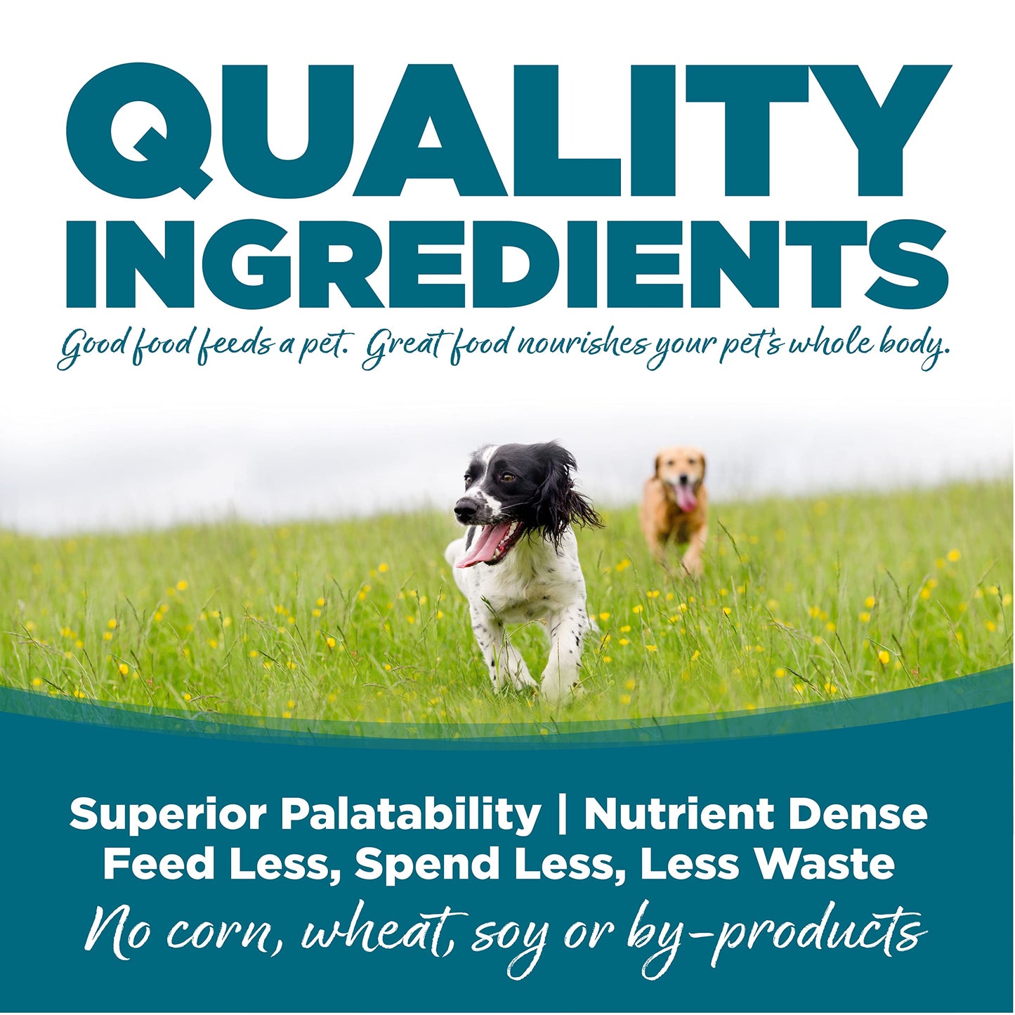 NutriSource Adult Dog Food, Made with Chicken and Rice, with Wholesome Grains, 1.5LB, Dry Dog Food